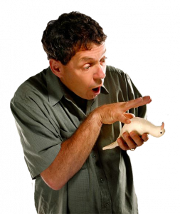 Learn Professional Comedy Stage Hypnosis, Comedy Stage Hypnotism School, Learn to be a Comedy Stage Hypnotist Entertainer, Hypnotic, Stage Hypnosis Training, hypnotist's essential skills, rapid progressive hypnotic inductions, how to hypnotize, USA, las vegas, international, comedy, entertainment, hypnotize, hypno, hypnotic, hypnotise, hypnotherapy, schools, grad night